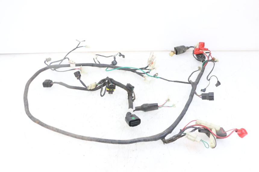 photo de WIRING HARNESS TNT MOTOR ROMA 10' 4T 50 (2019 - 2022)