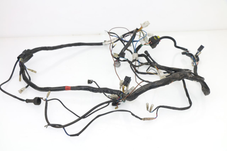 photo de WIRE HARNESS APRILIA TUONO 125 (2003 - 2005)