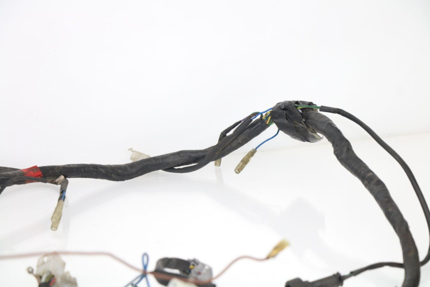 photo de WIRE HARNESS APRILIA TUONO 125 (2003 - 2005)