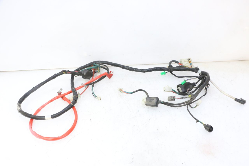 photo de WIRE HARNESS PEUGEOT TWEET 4T 50 (2018 - 2020)
