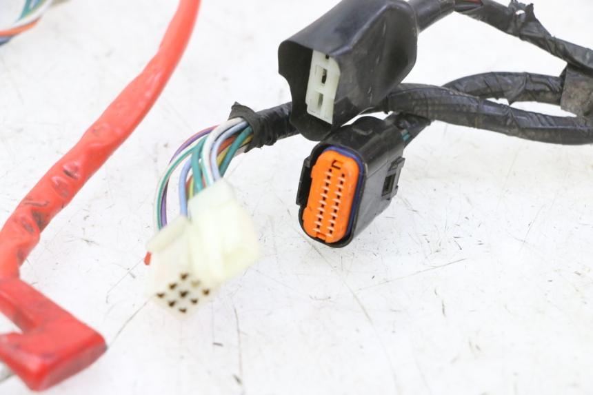 photo de WIRE HARNESS PEUGEOT TWEET 4T 50 (2018 - 2020)