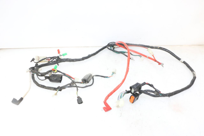 photo de WIRE HARNESS PEUGEOT TWEET 4T 50 (2018 - 2020)