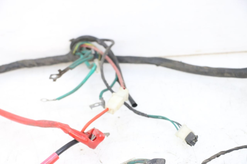 photo de WIRE HARNESS PEUGEOT TWEET PRO CARGO 50 (2018 - 2020) - Product overview