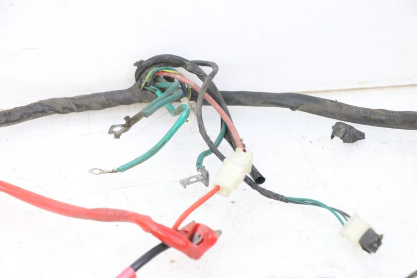 photo de WIRE HARNESS PEUGEOT TWEET PRO CARGO 50 (2018 - 2020) - Fixing points details