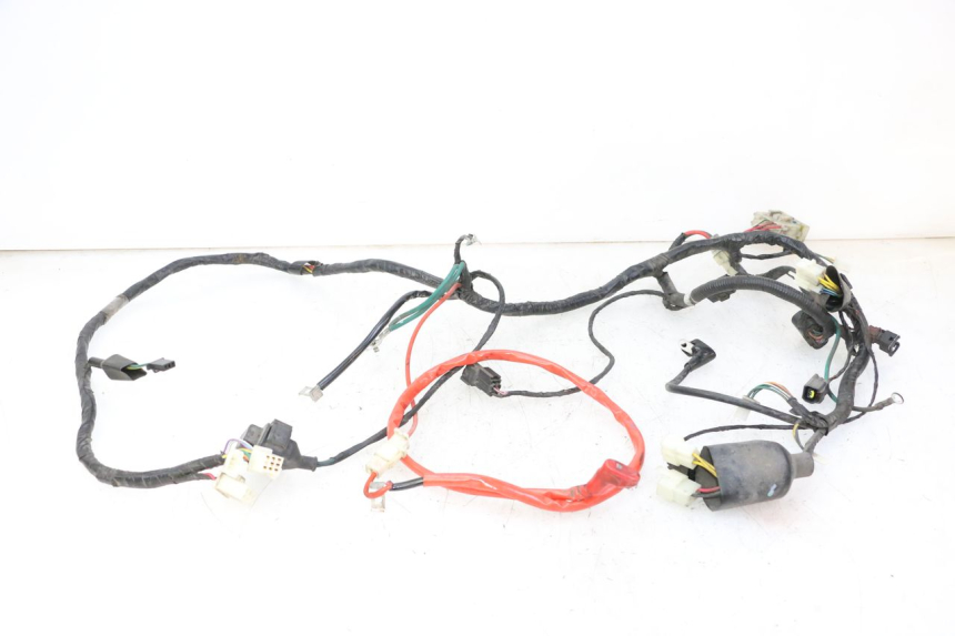 photo de WIRE HARNESS PEUGEOT TWEET PRO CARGO 50 (2018 - 2020)