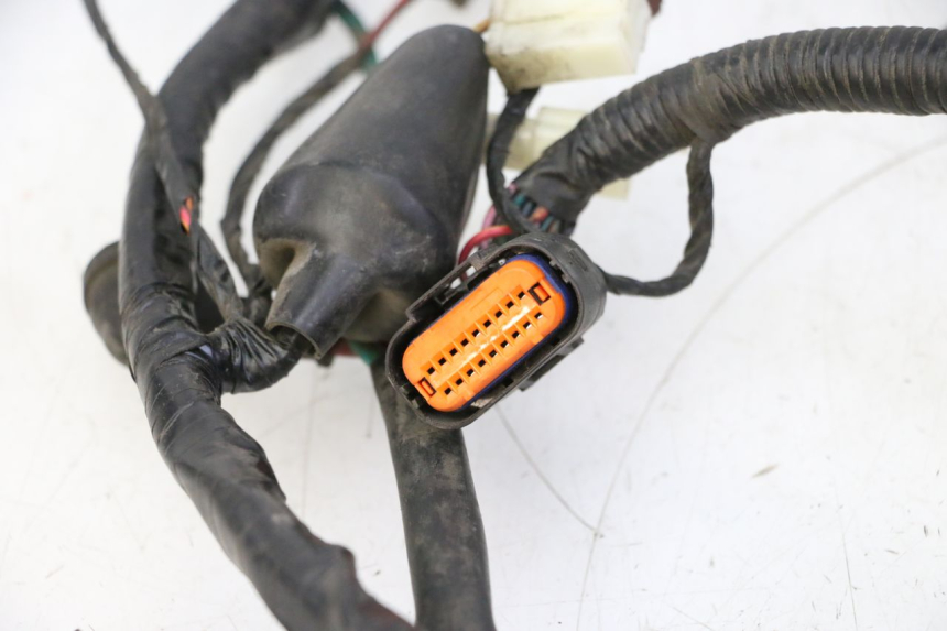 photo de WIRE HARNESS PEUGEOT TWEET PRO CARGO 50 (2018 - 2020)