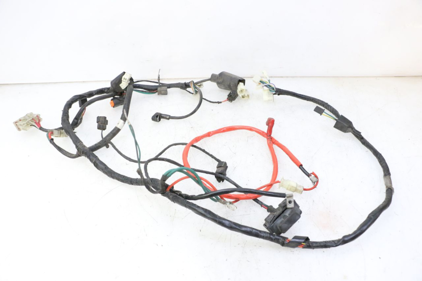 photo de WIRE HARNESS PEUGEOT TWEET PRO CARGO 50 (2018 - 2020)