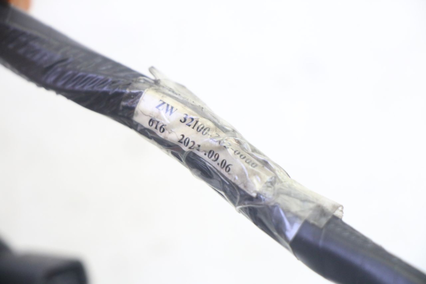 photo de WIRE HARNESS PEUGEOT TWEET PRO EFI 4T 50 (2021 - 2022)