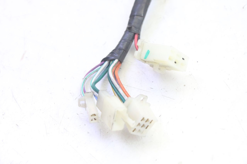 photo de WIRE HARNESS PEUGEOT TWEET PRO EFI 4T 50 (2021 - 2022)