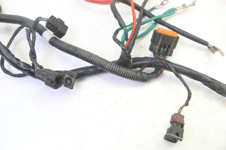 photo de WIRE HARNESS PEUGEOT TWEET PRO EFI 4T 50 (2021 - 2022)