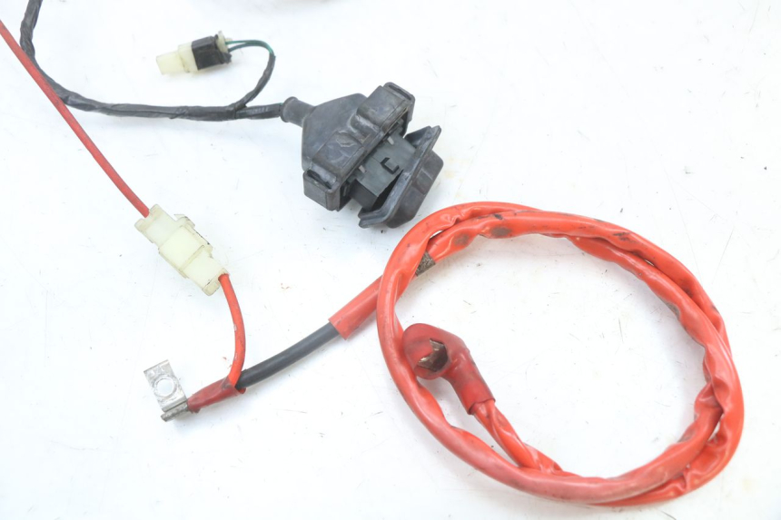 photo de WIRING HARNESS PEUGEOT TWEET 125 (2018 - 2021)