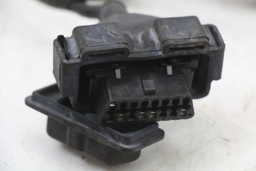 photo de WIRING HARNESS PEUGEOT TWEET 125 (2018 - 2021)