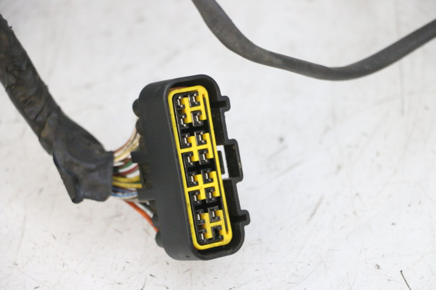 photo de WIRE HARNESS YAMAHA TZR 50 (2008 - 2016) - Product overview