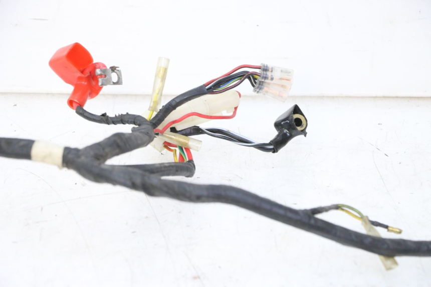 photo de WIRING HARNESS PEUGEOT V-CLIC VCLIC 50 (2007 - 2013)