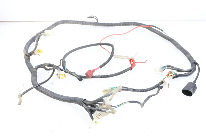 photo de WIRE HARNESS BEELINE VELOCE 4T 50 (2011 - 2020)