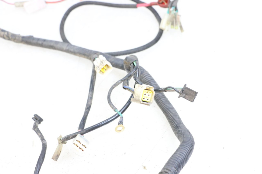 photo de WIRE HARNESS BEELINE VELOCE 4T 50 (2011 - 2020)