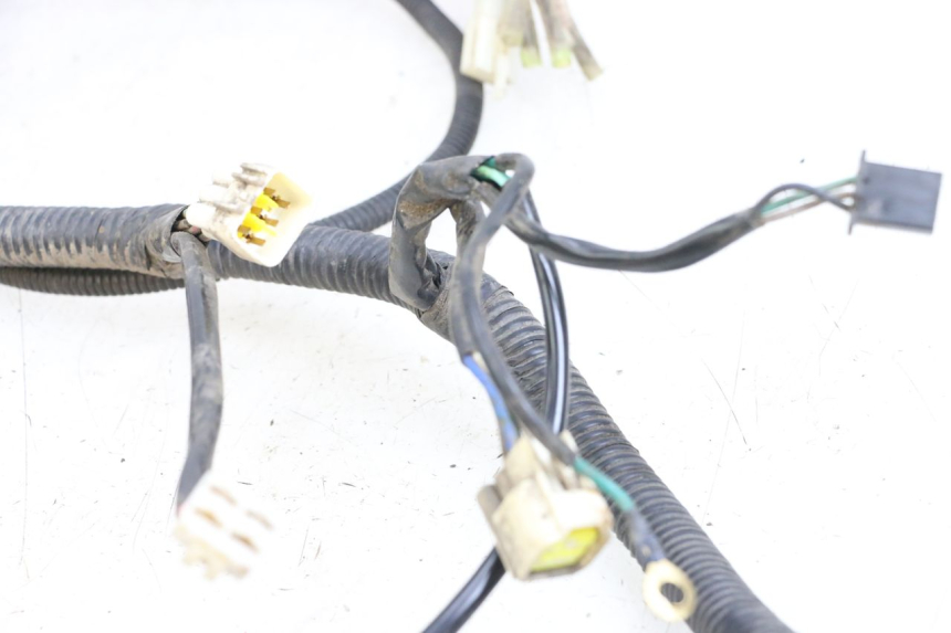 photo de WIRE HARNESS BEELINE VELOCE 4T 50 (2011 - 2020)