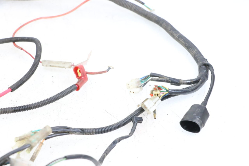 photo de WIRE HARNESS BEELINE VELOCE 4T 50 (2011 - 2020)