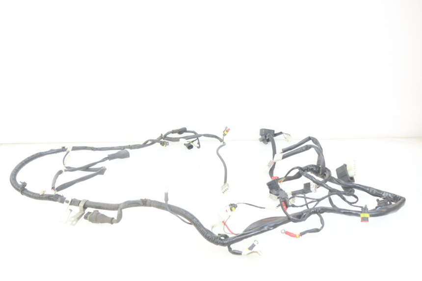 photo de WIRING HARNESS PIAGGIO VESPA PRIMAVERA 2T 50 (2013 - 2018)