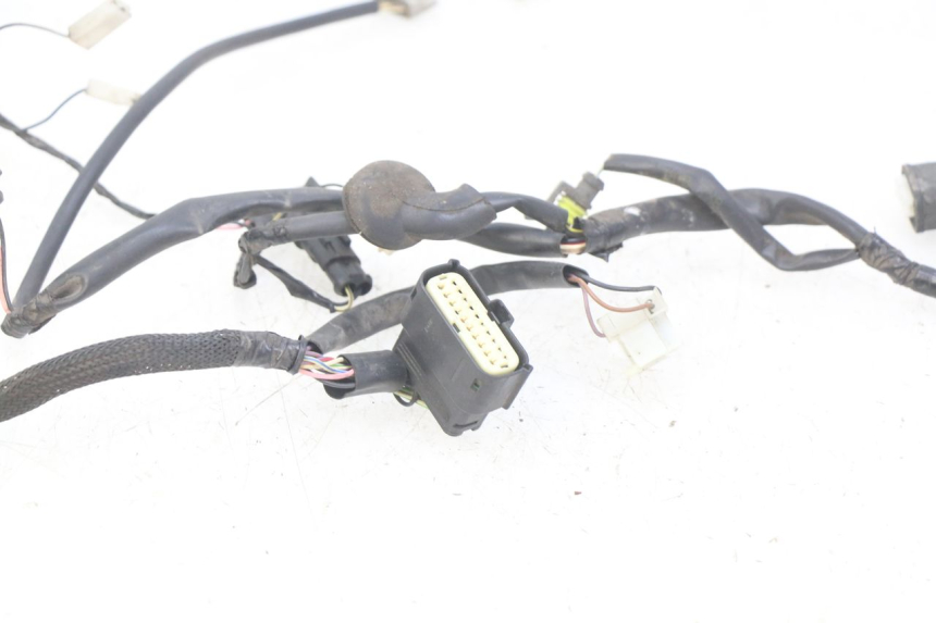 photo de WIRING HARNESS PIAGGIO VESPA PRIMAVERA 2T 50 (2013 - 2018)