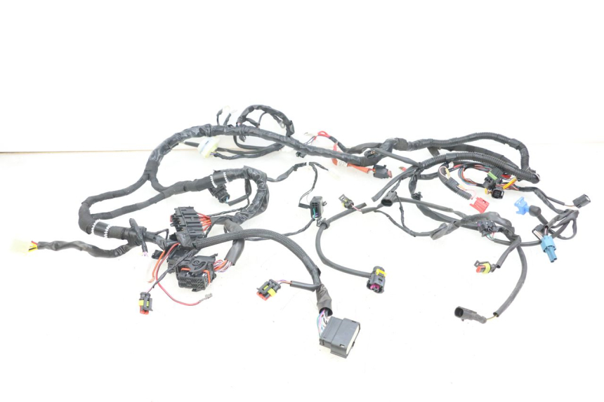 photo de WIRE HARNESS PIAGGIO VESPA PRIMAVERA 4T 50 (2021 - 2024)
