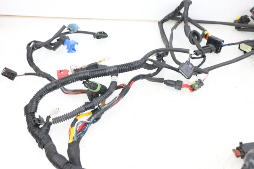 photo de WIRE HARNESS PIAGGIO VESPA PRIMAVERA 4T 50 (2021 - 2024)