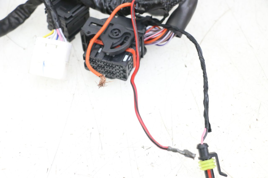 photo de WIRE HARNESS PIAGGIO VESPA PRIMAVERA 4T 50 (2021 - 2024)