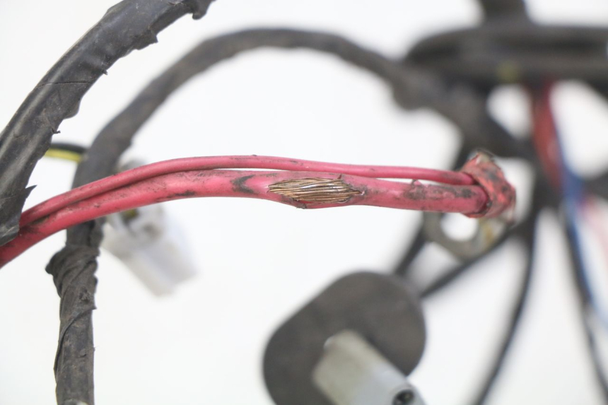 photo de WIRING HARNESS PIAGGIO VESPA S 2T 50 (2007 - 2014)