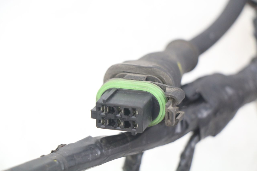 photo de WIRING HARNESS PIAGGIO VESPA S 2T 50 (2007 - 2014)