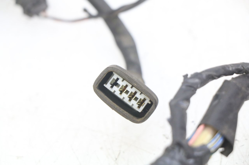 photo de WIRING HARNESS PIAGGIO VESPA S 2T 50 (2007 - 2014)
