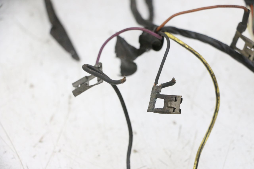 photo de WIRING HARNESS PIAGGIO VESPA S 2T 50 (2007 - 2014)