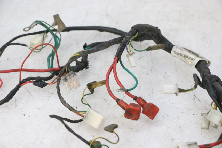 photo de WIRING HARNESS PEUGEOT VIVACITY NEW 4T 50 (2008 - 2017)