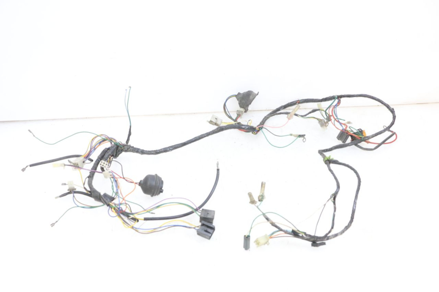 photo de WIRE HARNESS PEUGEOT VIVACITY 100 (1999 - 2008) - Main view