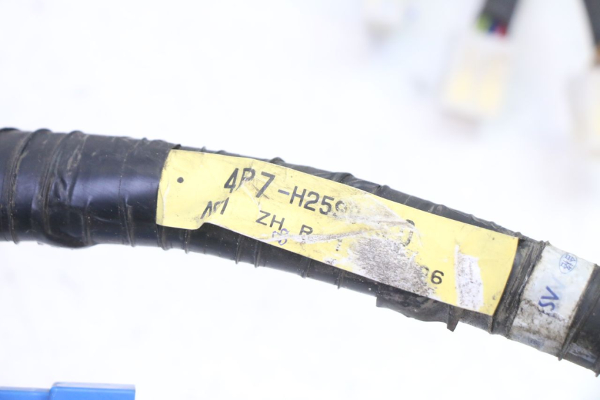 photo de WIRE HARNESS MBK WAAP 125 (2008 - 2013)