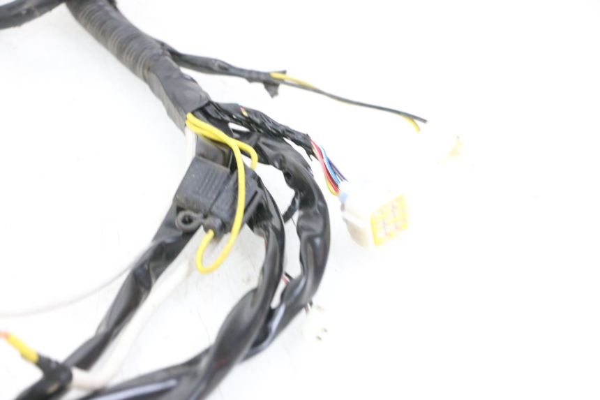 photo de WIRE HARNESS WAYSCRAL E-START 1 (2018 - 2022)