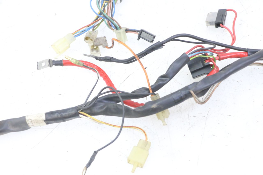 photo de WIRE HARNESS YAMAHA WHY 50 (1998 - 2000)