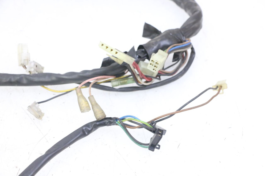 photo de WIRE HARNESS YAMAHA WHY 50 (1998 - 2000)