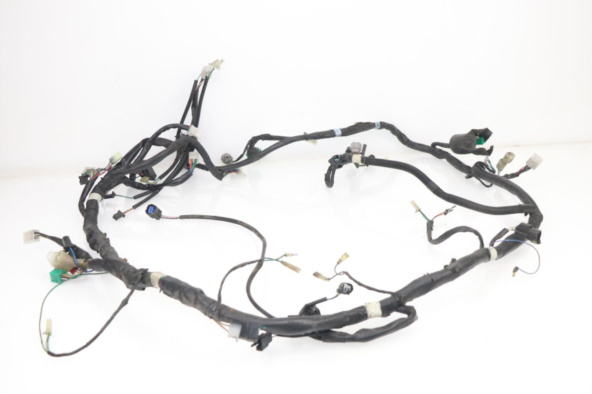 photo de WIRE HARNESS KYMCO XCITING 500 (2007 - 2010)