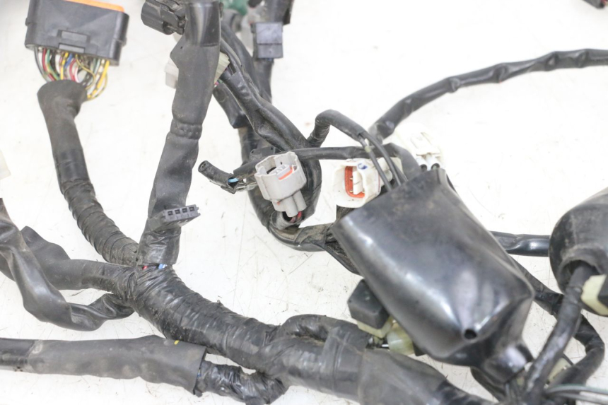 photo de WIRE HARNESS YAMAHA XJ6 ABS 600 (2008 - 2016)