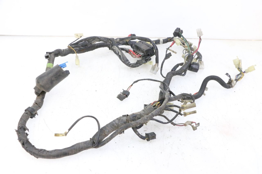 photo de WIRE HARNESS YAMAHA XJN DIVERSION 600 (2000 - 2003)