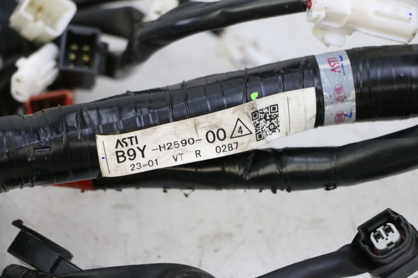 photo de WIRE HARNESS YAMAHA XMAX X-MAX 125 (2021 - 2025)