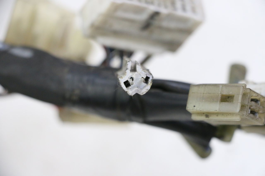 photo de WIRE HARNESS YAMAHA FZ6 FAZER S2 600 (2007 - 2011)