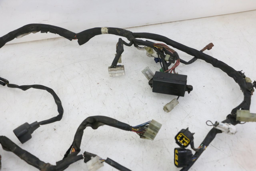photo de WIRE HARNESS YAMAHA FZS FAZER 600 (2001 - 2003)