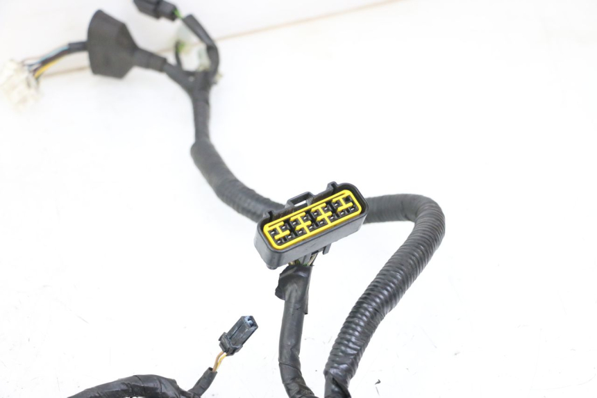 photo de WIRE HARNESS YAMAHA TZR 50 (2008 - 2016)