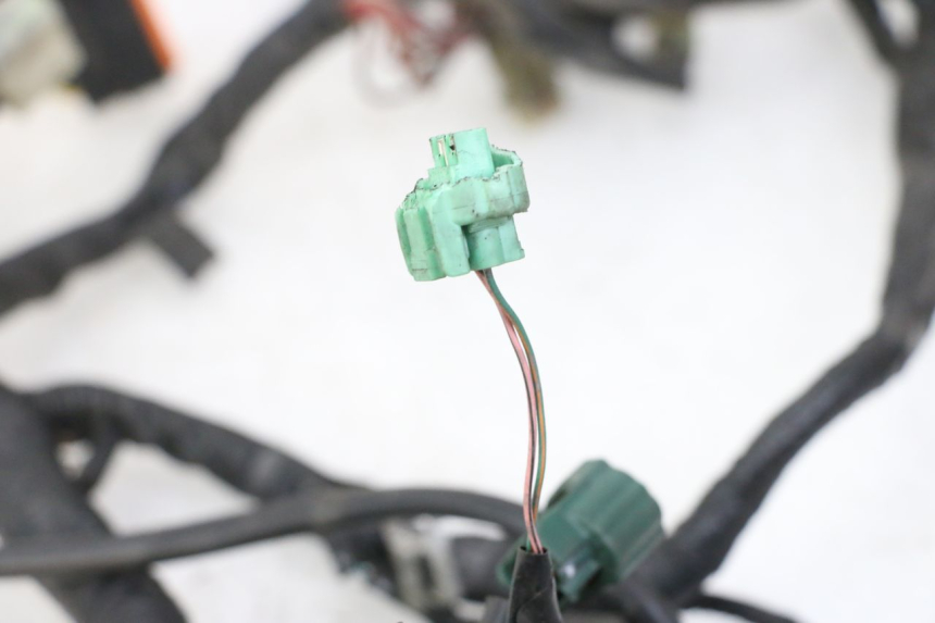 photo de WIRE HARNESS YAMAHA XJ6 ABS 600 (2008 - 2016)