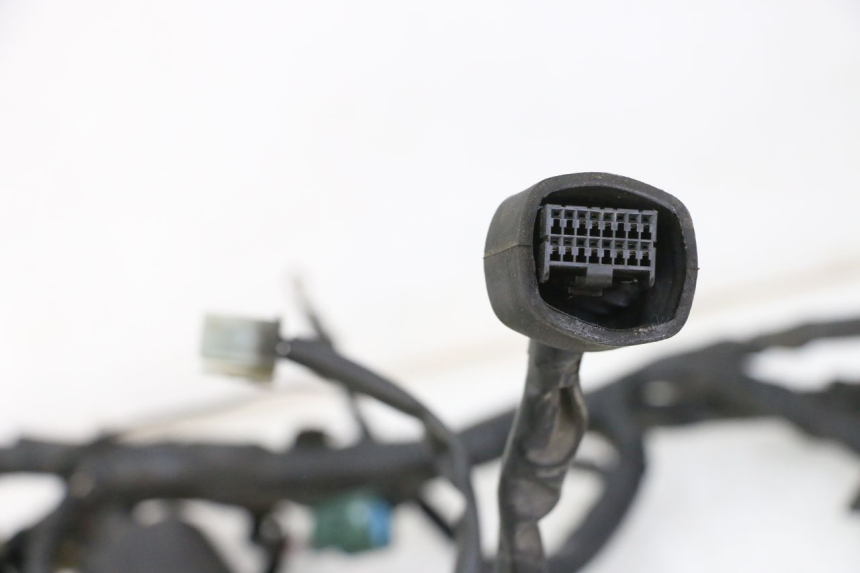 photo de WIRE HARNESS YAMAHA XJ6 ABS 600 (2008 - 2016)