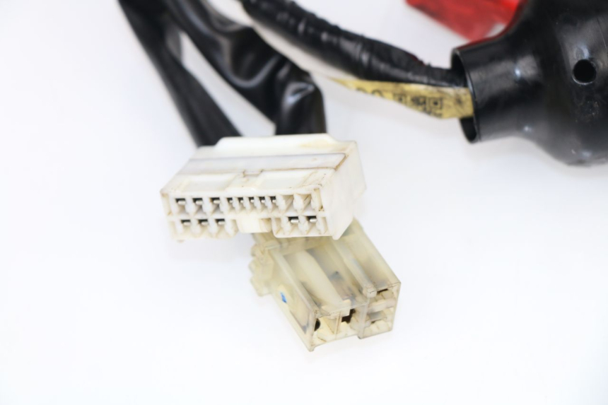 photo de WIRE HARNESS YAMAHA XJ6 ABS 600 (2008 - 2016)
