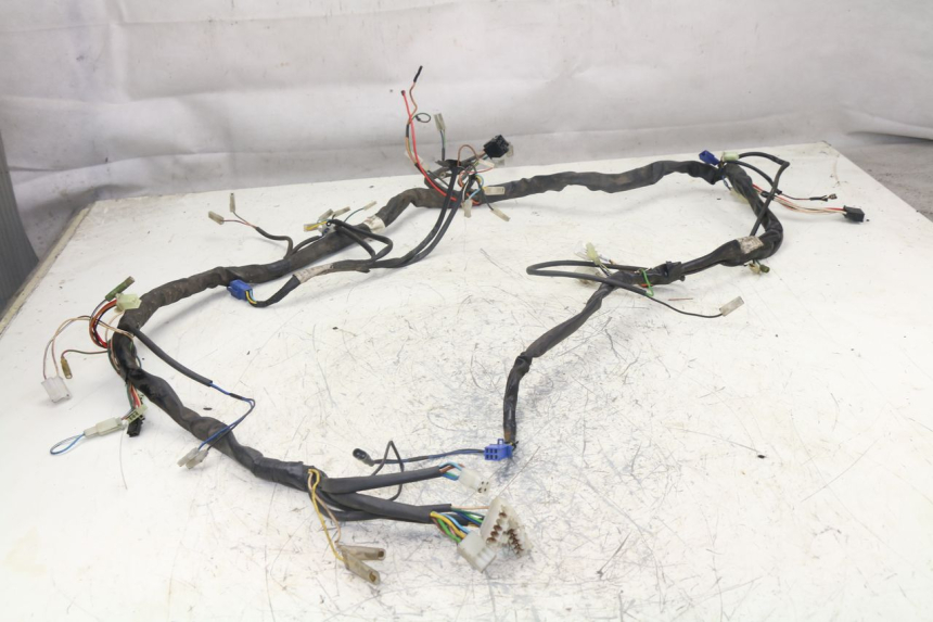 photo de WIRING HARNESS YAMAHA YP MAJESTY 125 (1998 - 2001)