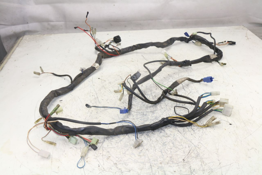 photo de WIRING HARNESS YAMAHA YP MAJESTY 125 (1998 - 2001)