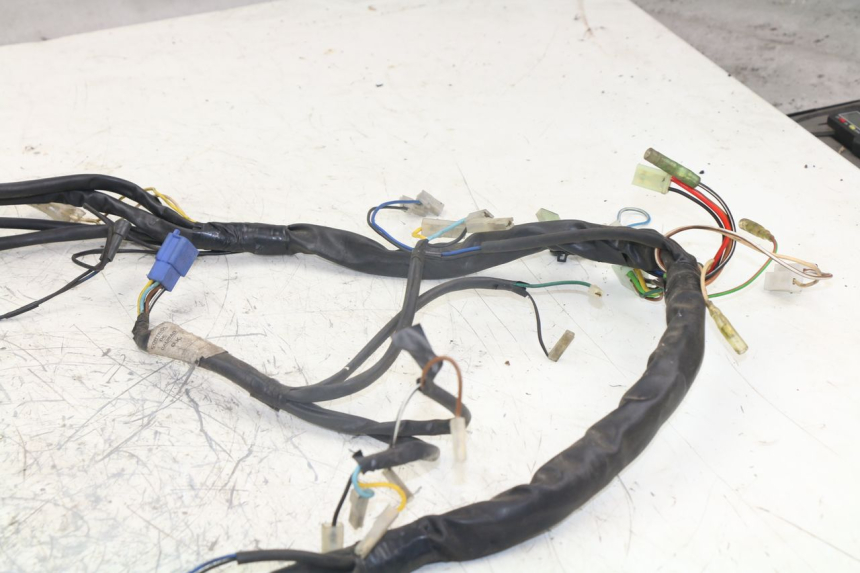 photo de WIRING HARNESS YAMAHA YP MAJESTY 125 (1998 - 2001)